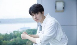 王海鑫爆料王俊凱視頻,事件背后真相揭秘