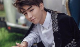 王海鑫爆料王俊凱視頻,事件背后真相揭秘